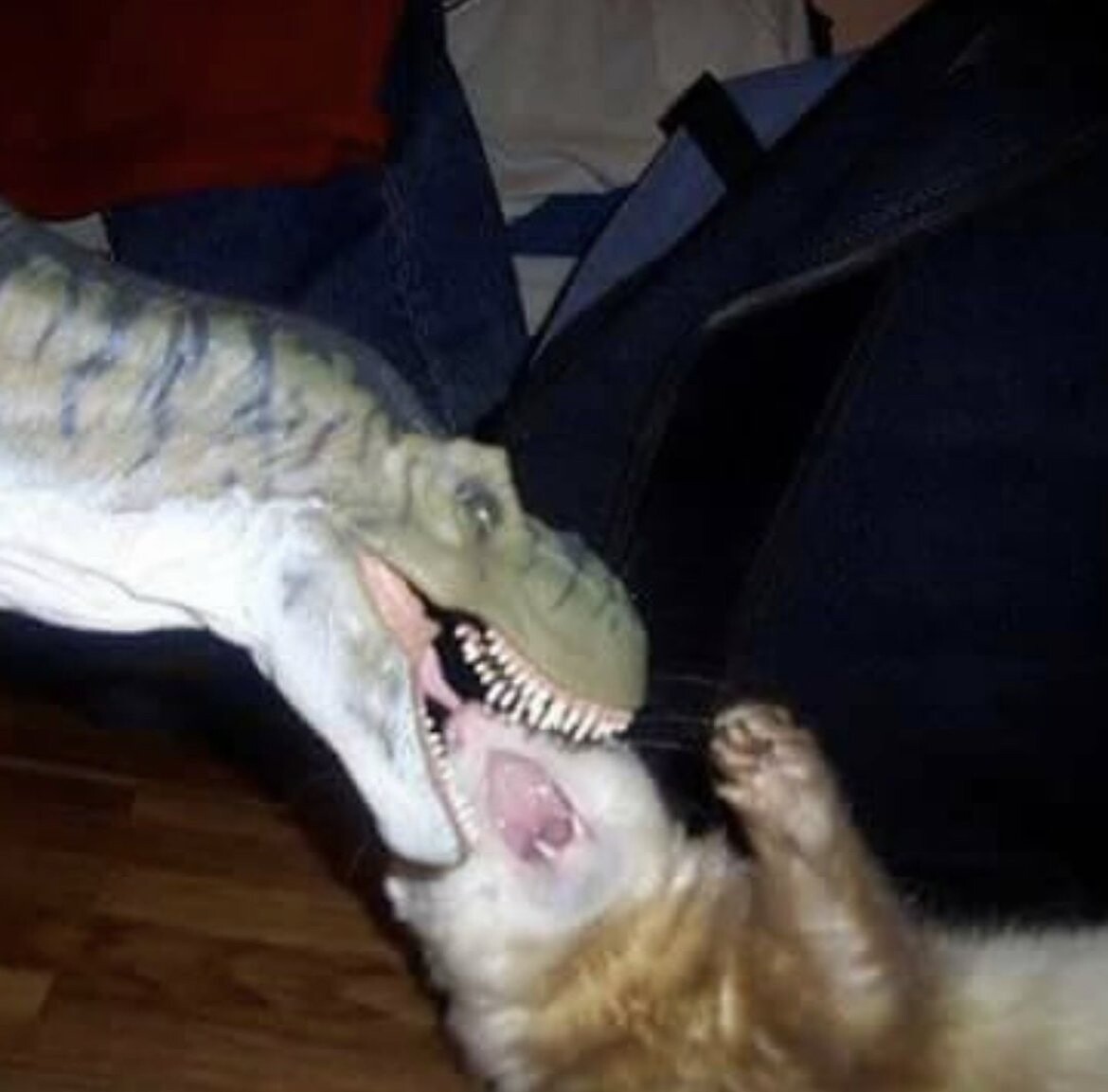 Cute Cats (20 pics)