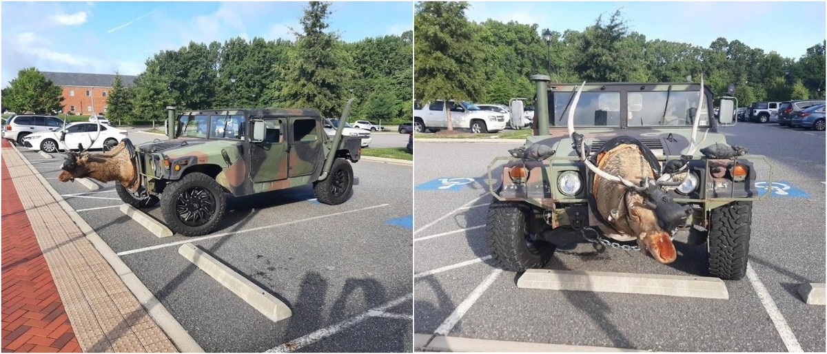 Crazy Tuning (25 pics)