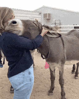 Acid GIFs, September 21 (25 gifs)
