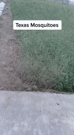 Acid GIFs, September 21 (25 gifs)