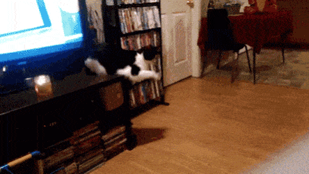 Acid GIFs, September 21 (25 gifs)
