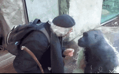 Acid GIFs, September 21 (25 gifs)