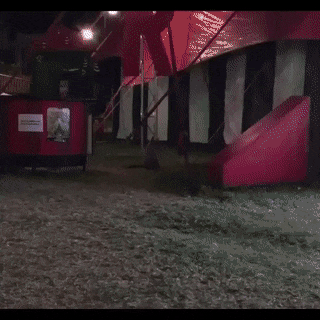Acid GIFs, September 21 (25 gifs)