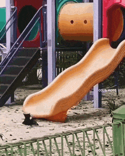 Acid GIFs, September 21 (25 gifs)