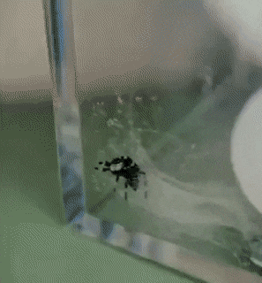 Acid GIFs, September 21 (25 gifs)