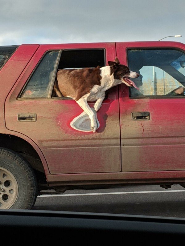 Time Changes Everything (22 pics)