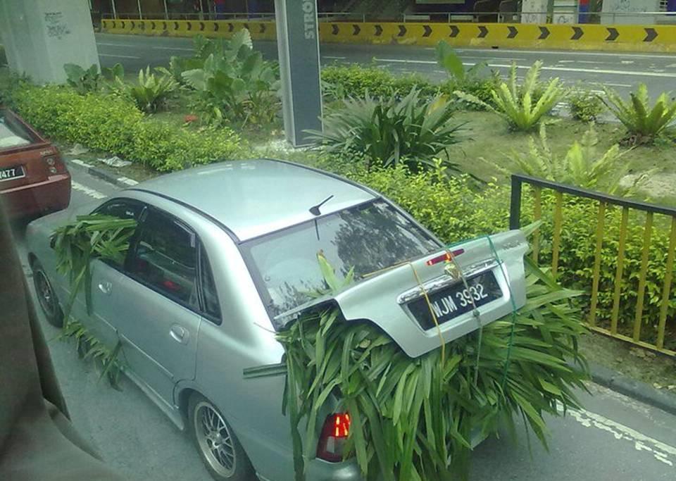 Strange Photos From Asian Countries (23 pics)