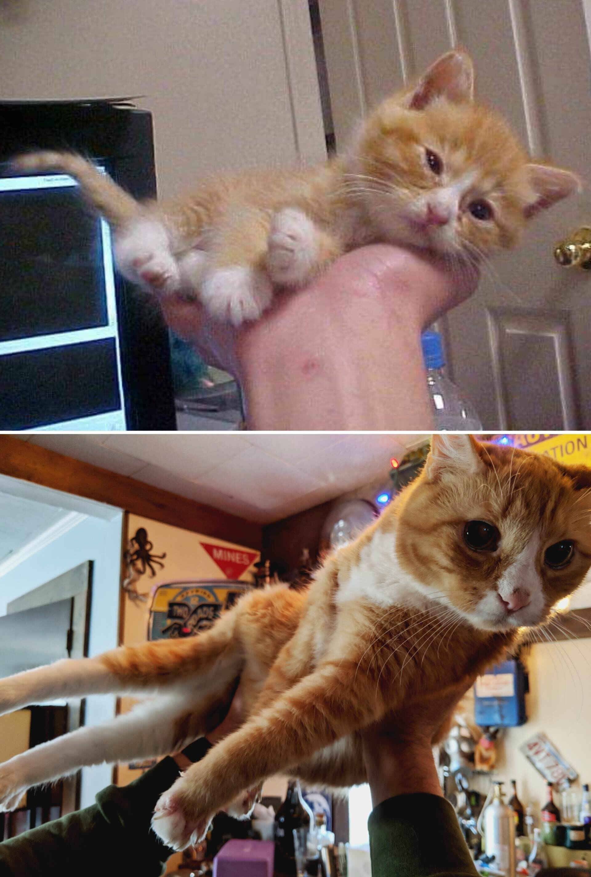 Interesting Before And After Photos (18 pics)