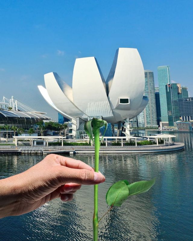 Surreal Photos (17 pics)