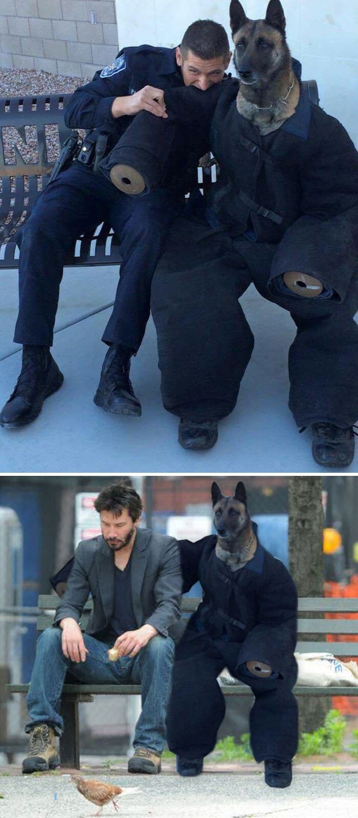 Funny Photoshop (16 pics)