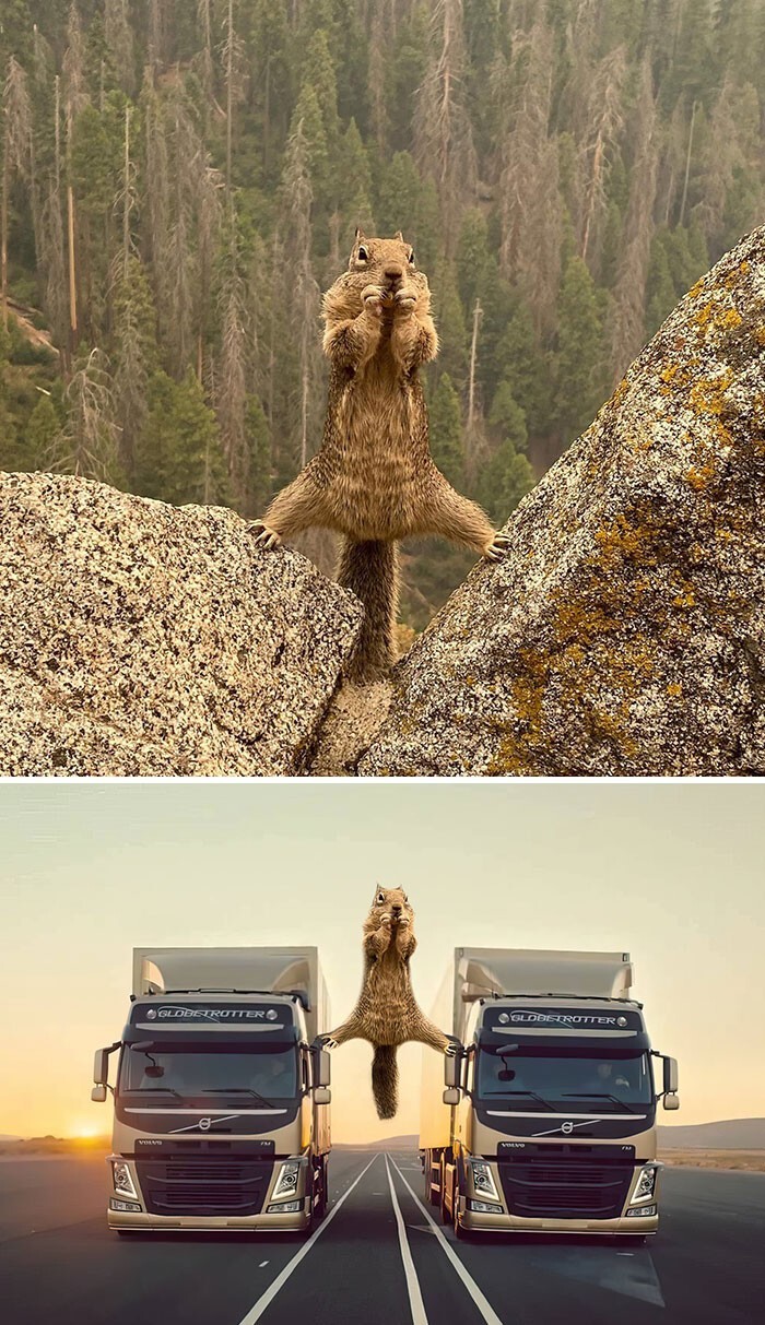 Funny Photoshop (16 pics)