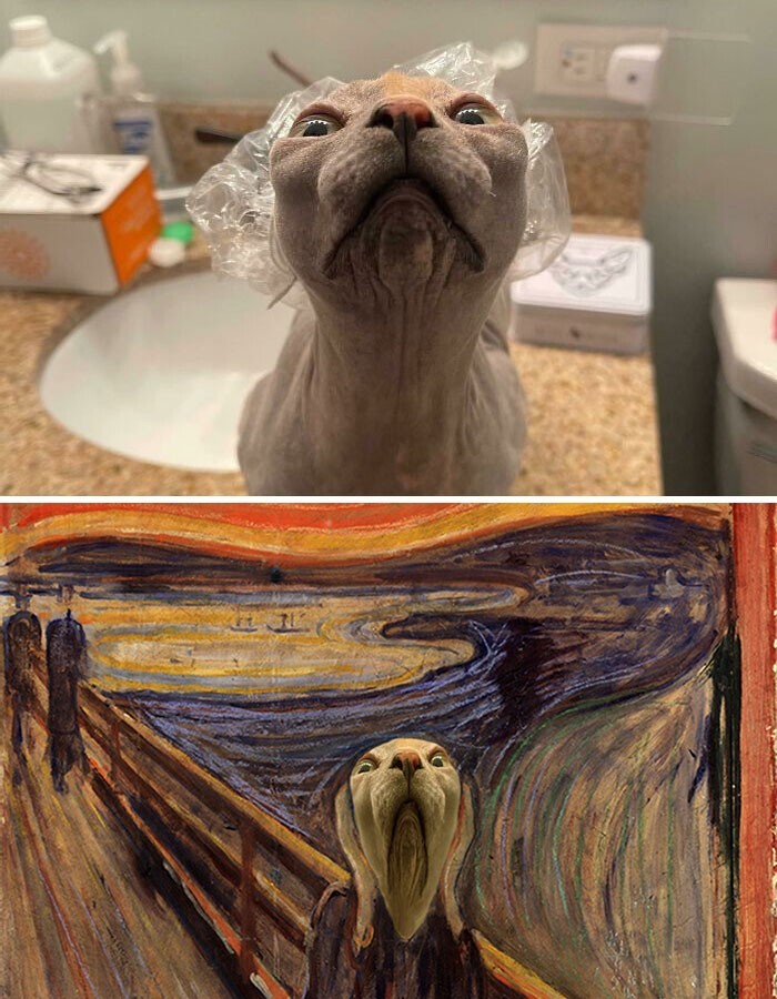 Funny Photoshop (16 pics)