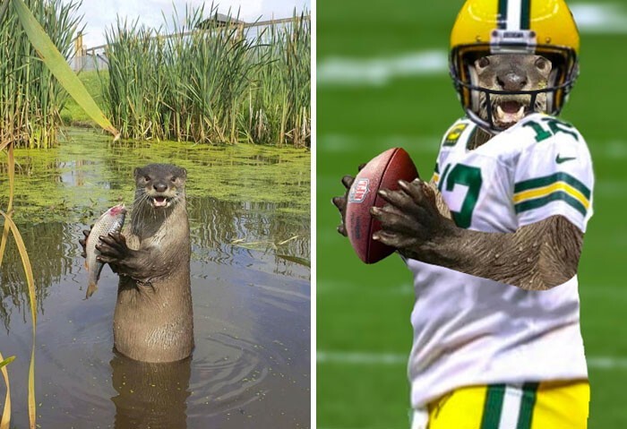 Funny Photoshop (16 pics)