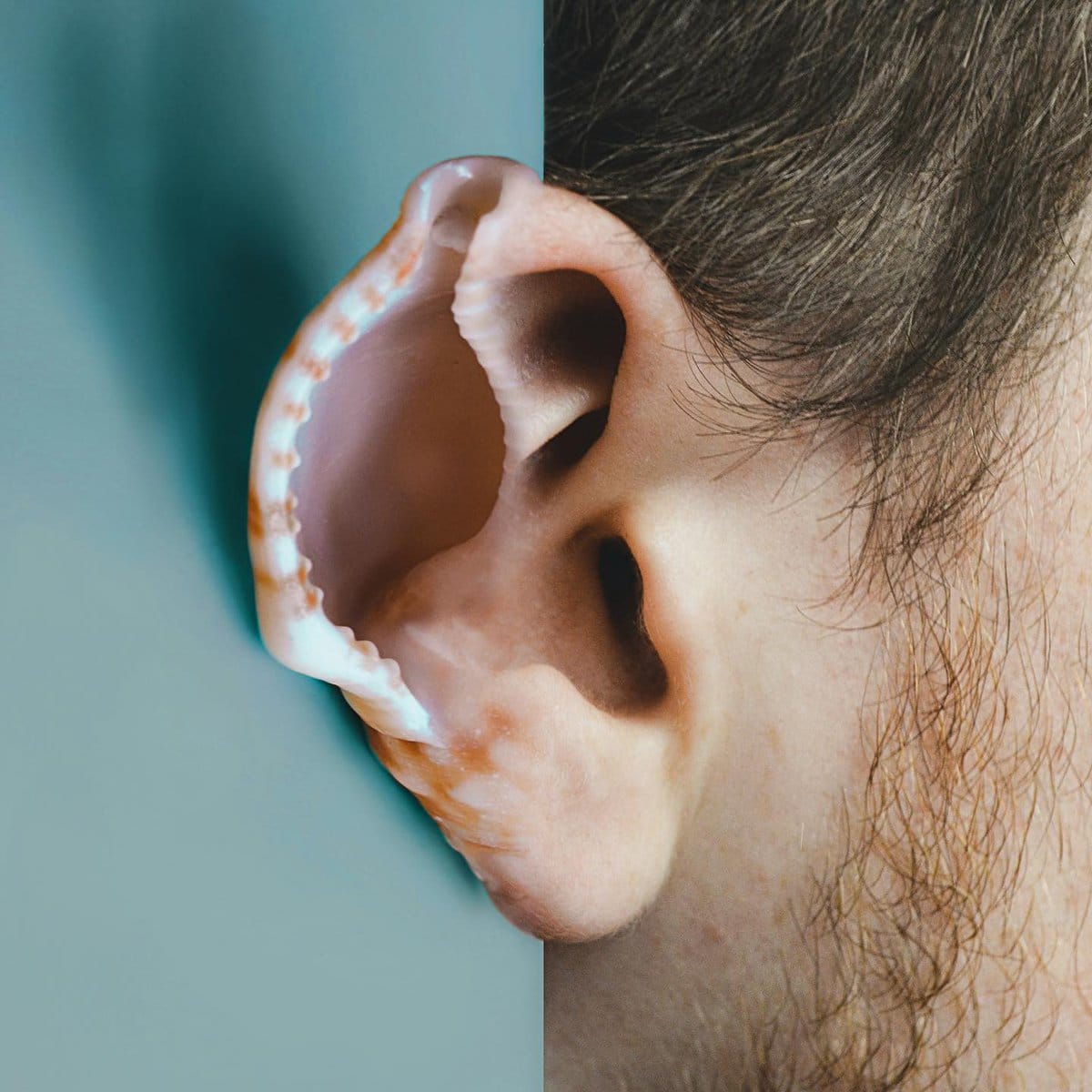 Surreal Photos (15 pics)