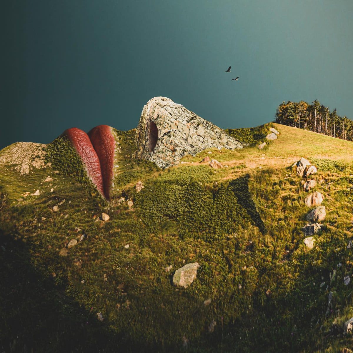 Surreal Photos (15 pics)