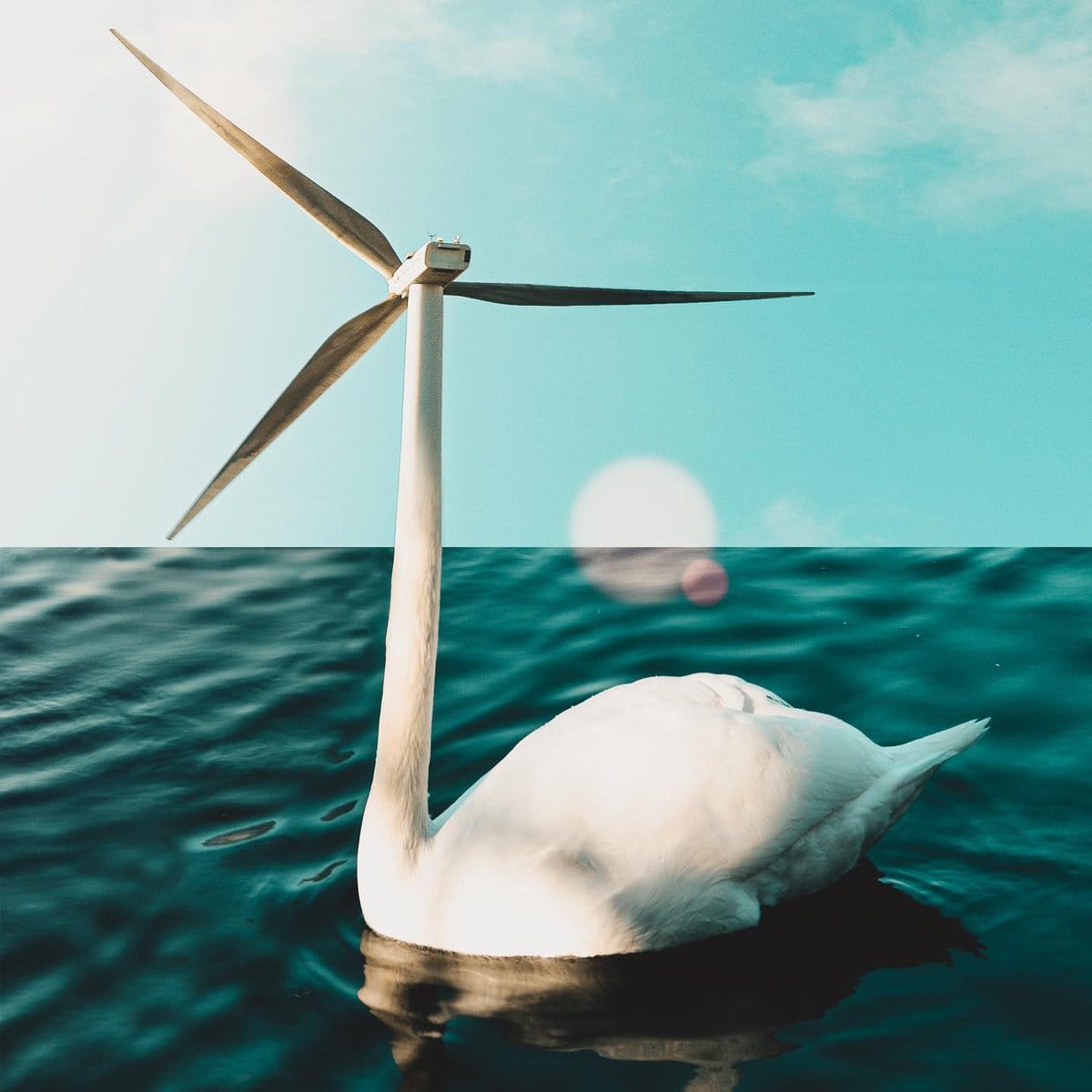 Surreal Photos (15 pics)