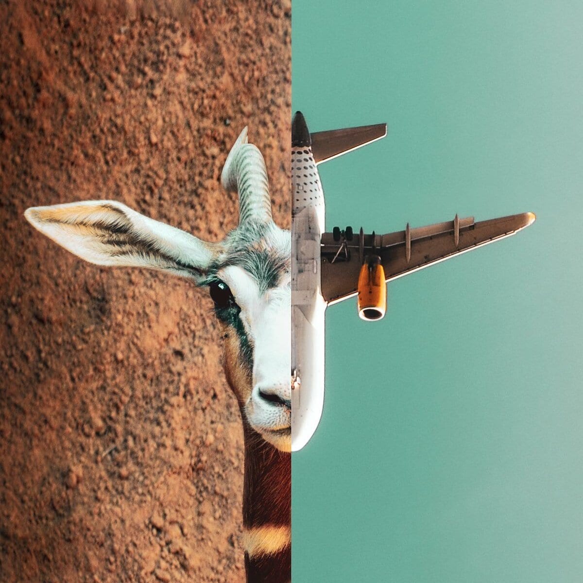 Surreal Photos (15 pics)