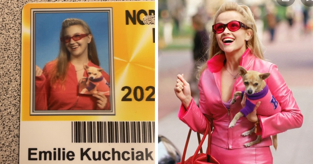 Funny Document Photos (17 pics)