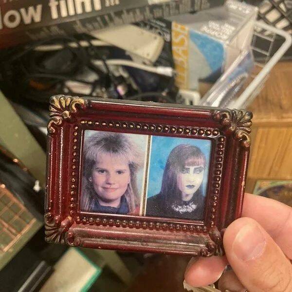 Odd Finds In Thrift Shops (15 pics)