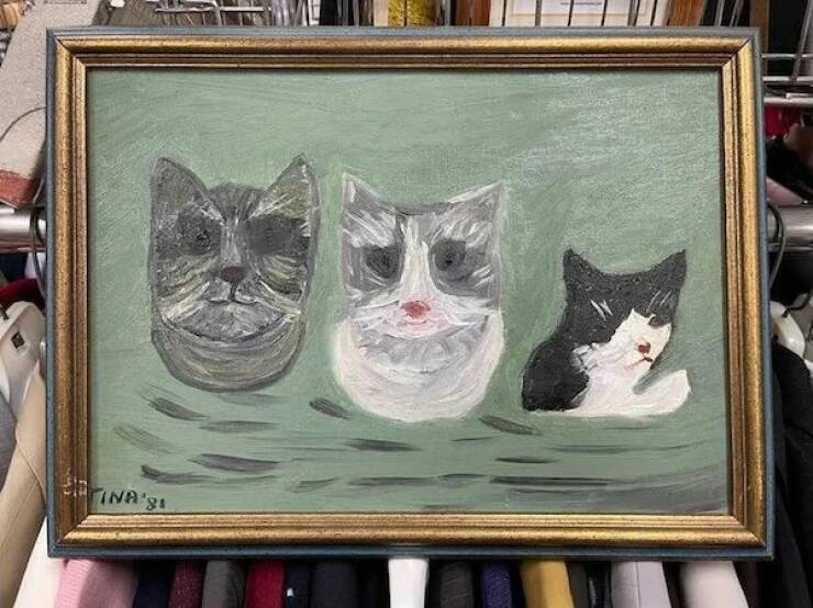 Odd Finds In Thrift Shops (15 pics)