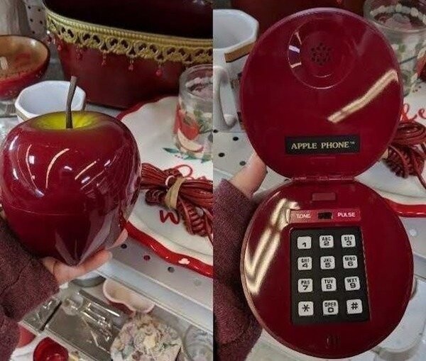 Odd Finds In Thrift Shops (15 pics)