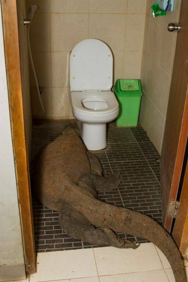 Daily Pictures. Part 1 (60 pics)