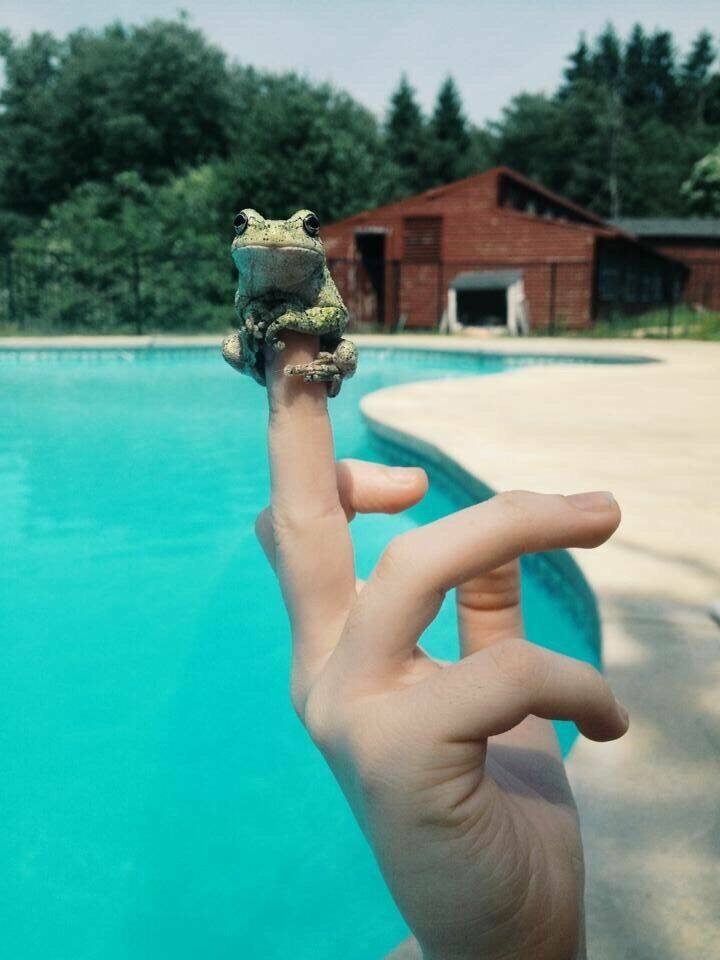 Daily Pictures. Part 1 (60 pics)