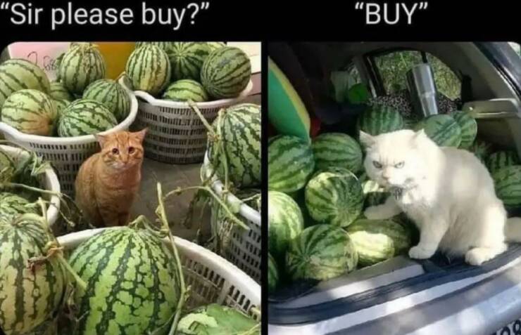 Daily Pictures. Part 2 (59 pics)