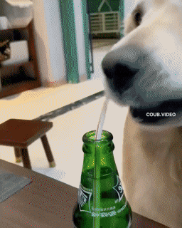 Acid GIFs, September 26 (25 gifs)
