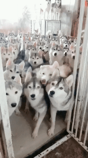 Acid GIFs, September 26 (25 gifs)