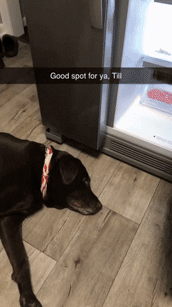 Acid GIFs, September 26 (25 gifs)
