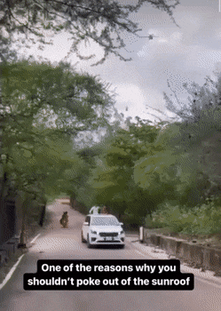 Acid GIFs, September 26 (25 gifs)