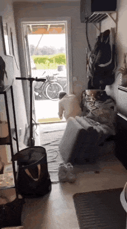 Acid GIFs, September 26 (25 gifs)