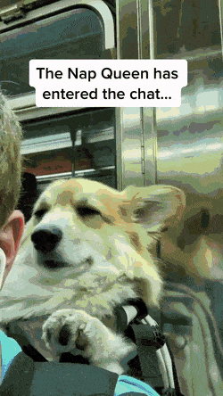 Acid GIFs, September 26 (25 gifs)