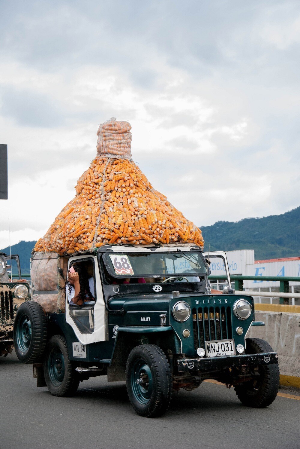 Unusual Parade Of Jeeps (20 pics)