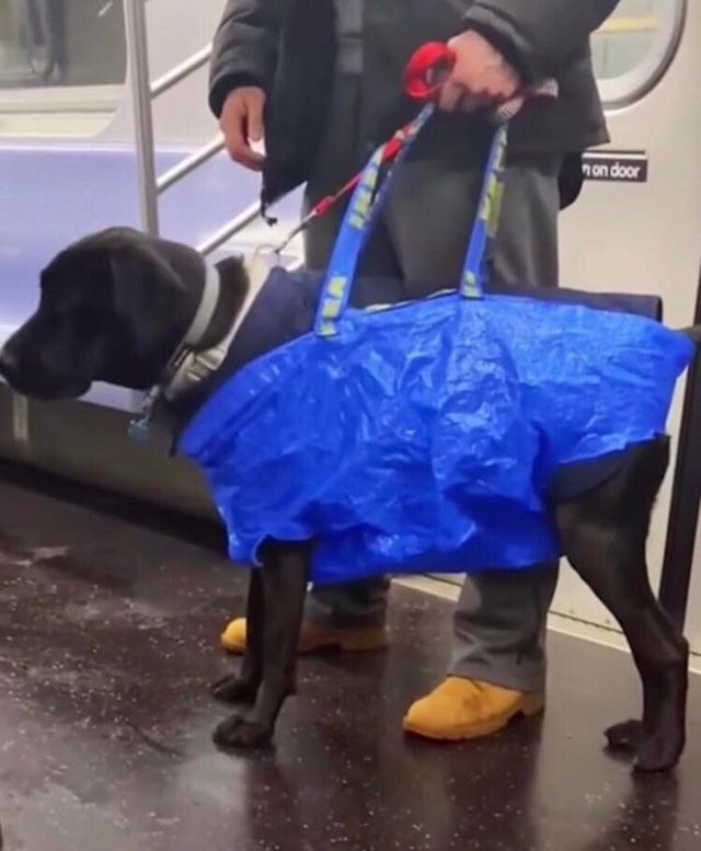 Strange People In The Subway (16 pics)