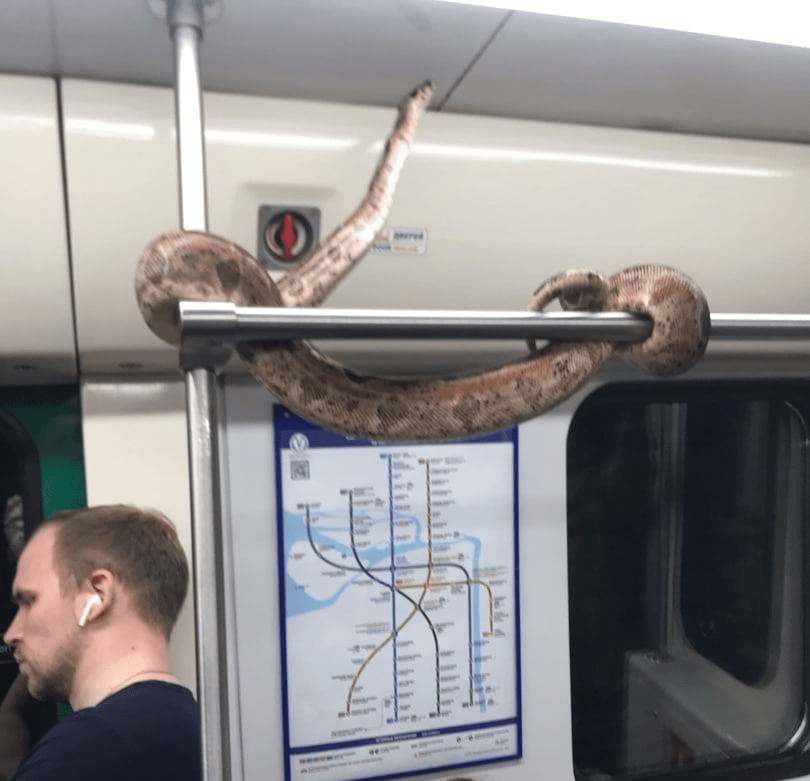 Strange People In The Subway (16 pics)