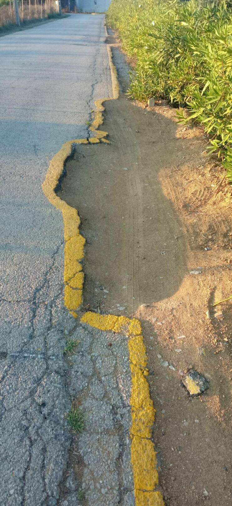 Daily Pictures. Part 1 (63 pics)