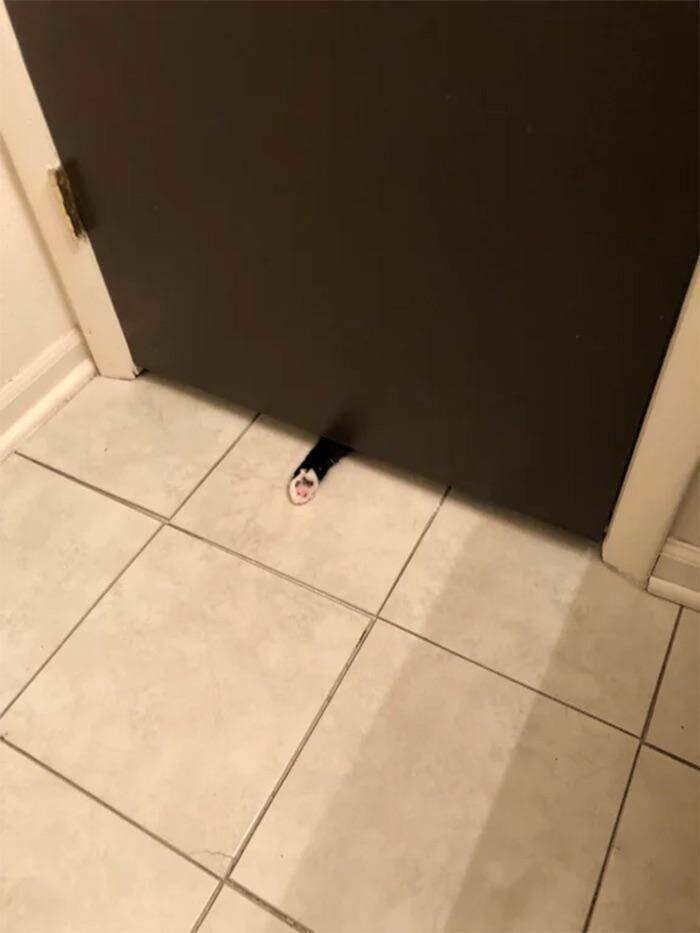 Daily Pictures. Part 2 (63 pics)