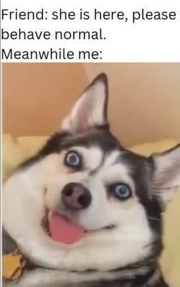 Daily Pictures. Part 2 (63 pics)