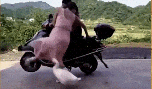 Acid GIFs, September 27 (25 gifs)