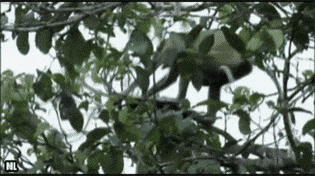 Acid GIFs, September 27 (25 gifs)