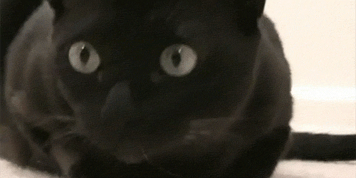 Acid GIFs, September 27 (25 gifs)
