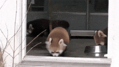 Acid GIFs, September 27 (25 gifs)