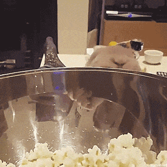 Acid GIFs, September 27 (25 gifs)