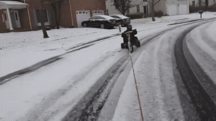 Acid GIFs, September 27 (25 gifs)