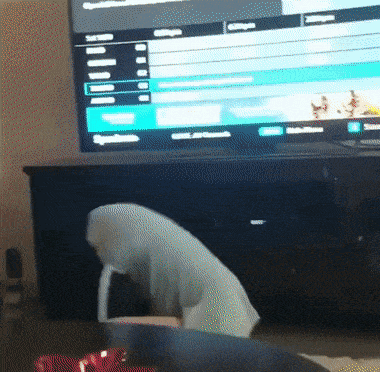 Acid GIFs, September 27 (25 gifs)