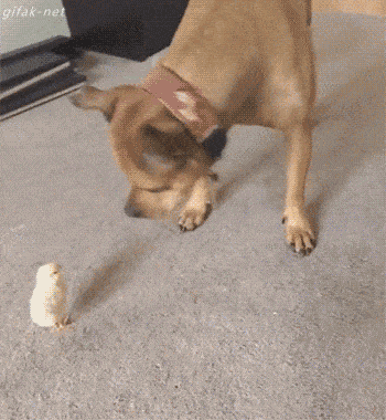 Acid GIFs, September 27 (25 gifs)