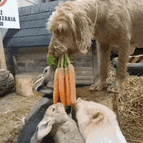 Acid GIFs, September 27 (25 gifs)