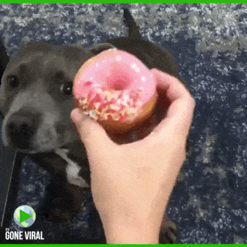 Acid GIFs, September 27 (25 gifs)